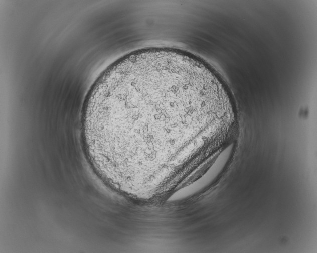 X0000112160895200909041124