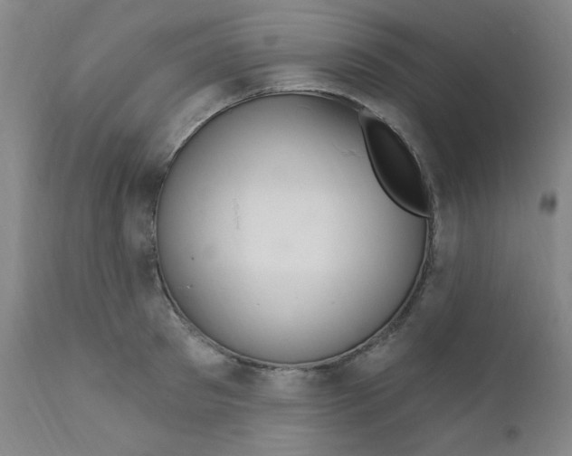 X0000112160897200909041124