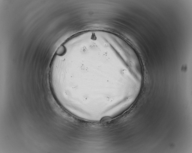 X0000112160899200909041123