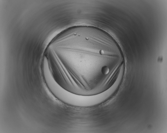 X0000112160901200909041123