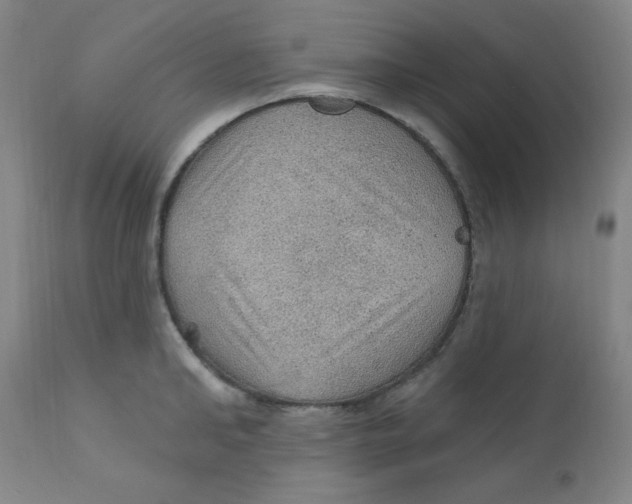X0000112160902200909041123