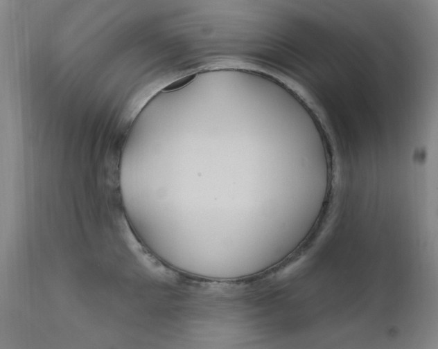 X0000112160905200909041123