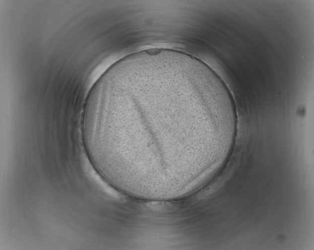 X0000112160906200909041123