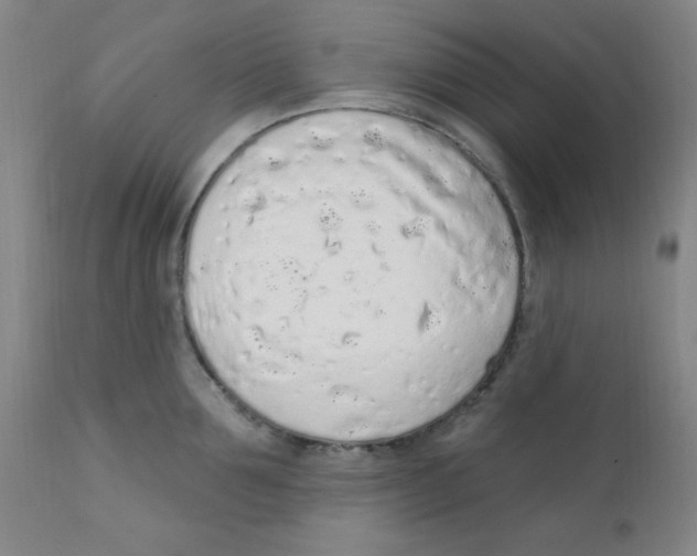 X0000112160907200909041123
