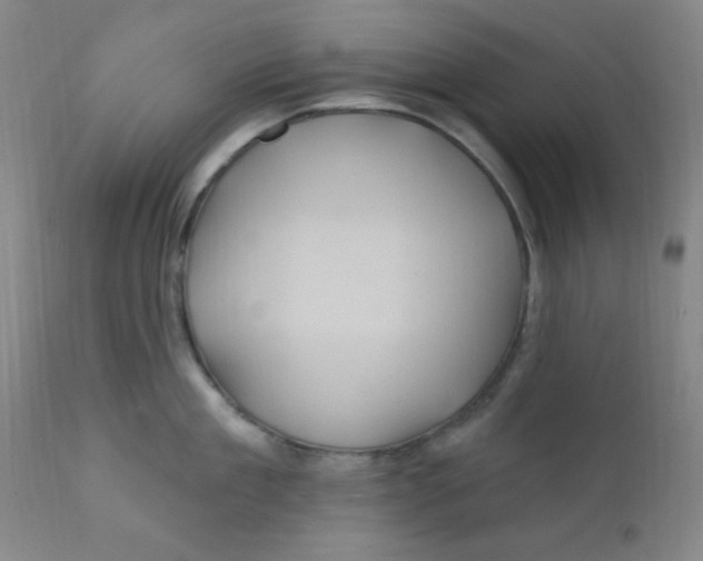 X0000112160909200909041123