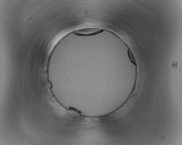 X0000112160912200909041123