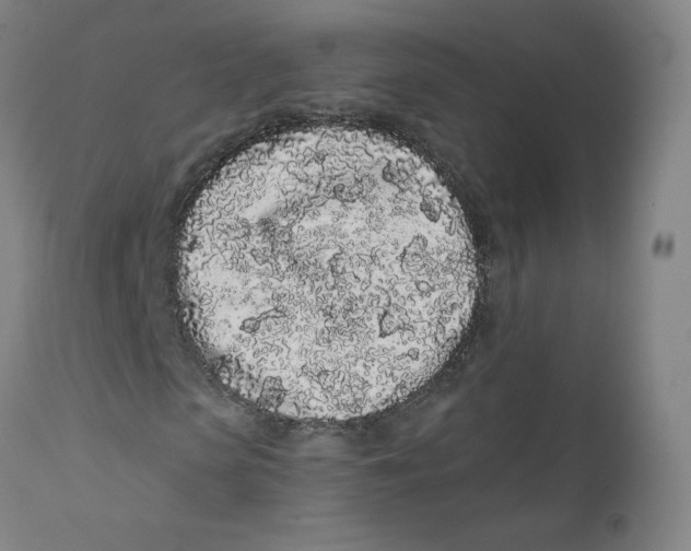 X0000112160913200909041122