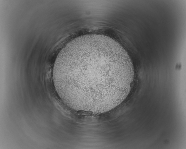 X0000112160914200909041122