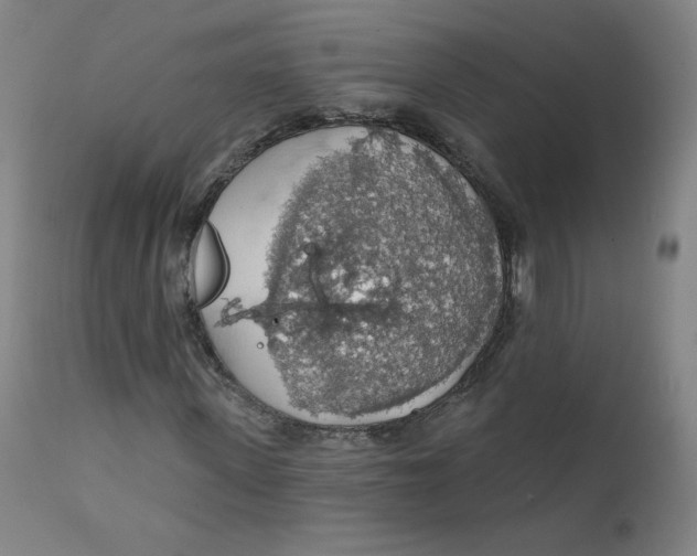 X0000112160915200909041122