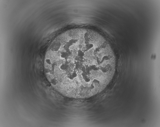 X0000112160917200909041122