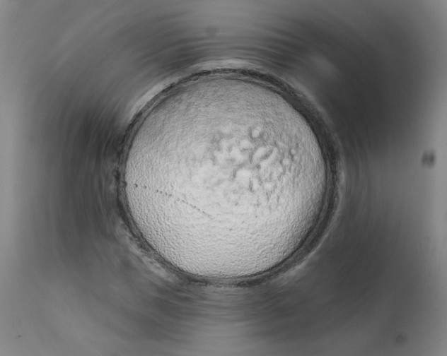 X0000112160921200909041122