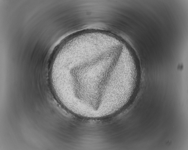 X0000112160923200909041122