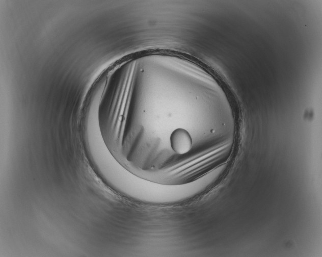 X0000112160924200909041122