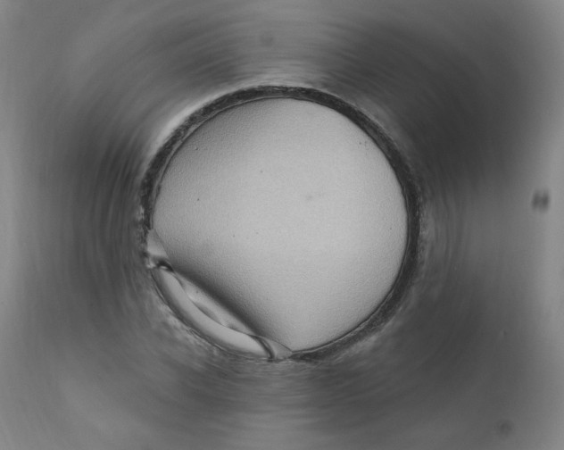 X0000112160926200909041123