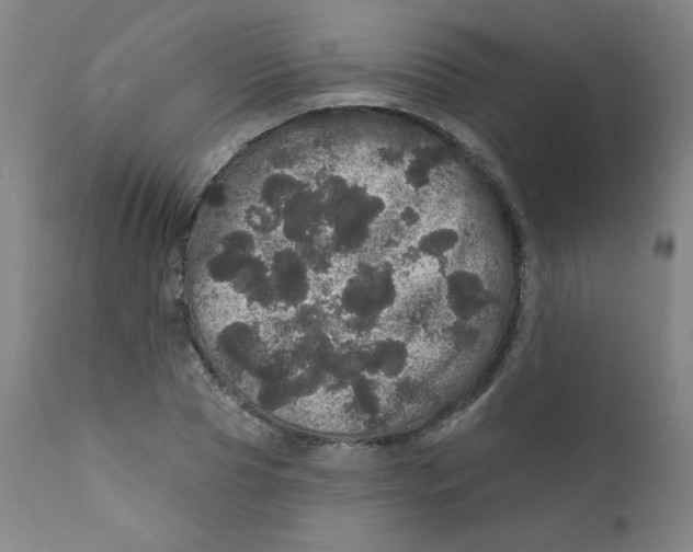 X0000112160929200909041123