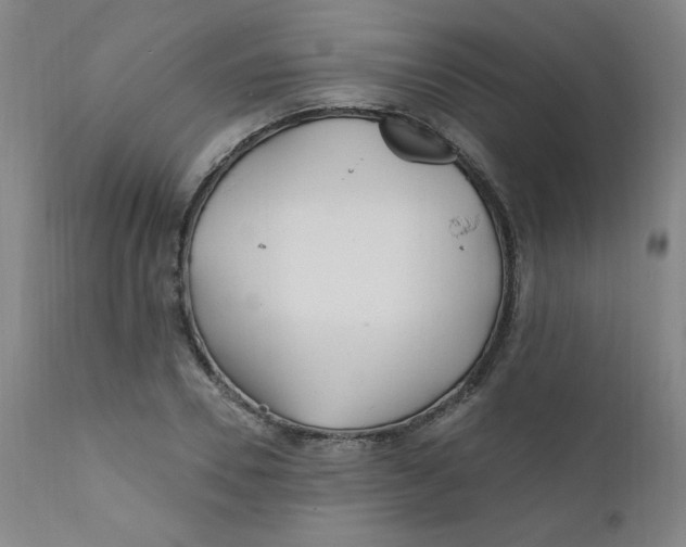 X0000112160930200909041123