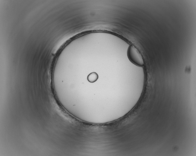 X0000112160936200909041123