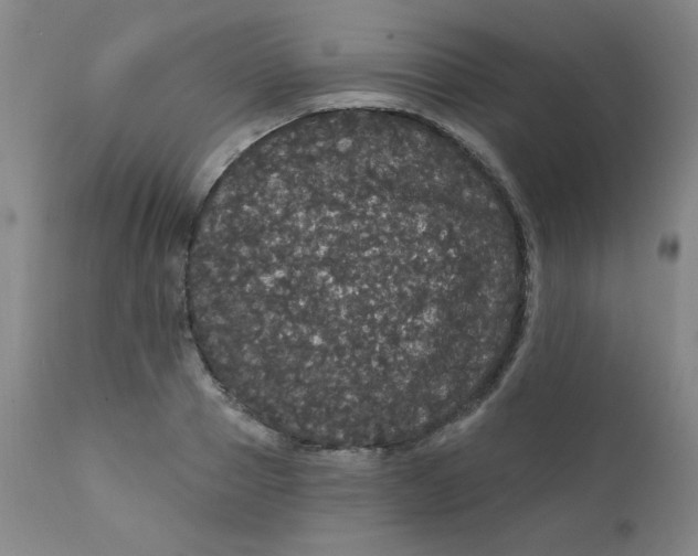 X0000112160937200909041123