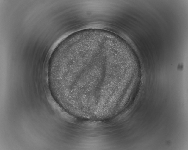 X0000112160939200909041123