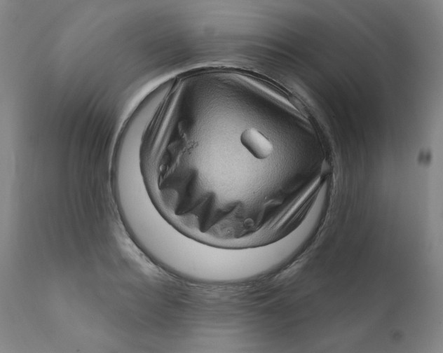 X0000112160940200909041123