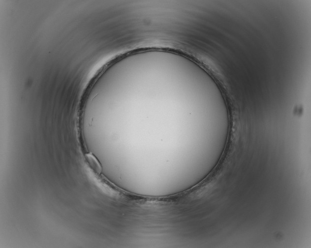X0000112160942200909041123