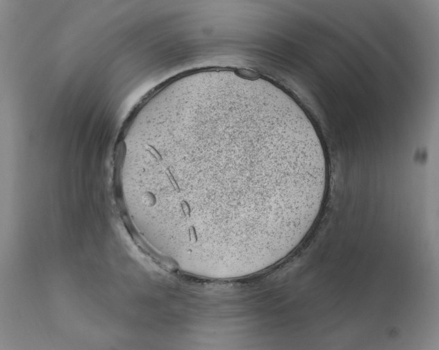 X0000112160944200909041123