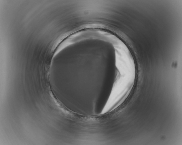 X0000112160945200909041123