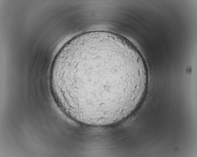 X0000112160949200909041123