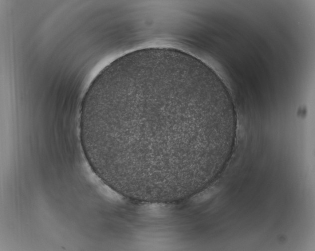 X0000112160950200909041123