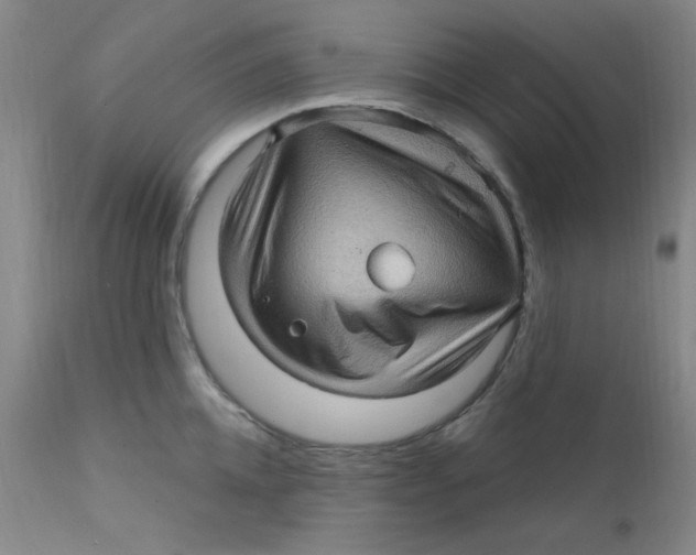 X0000112160952200909041123