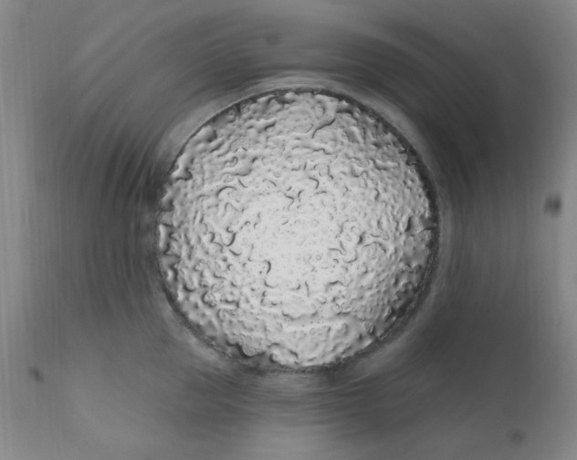 X0000112160953200909041123