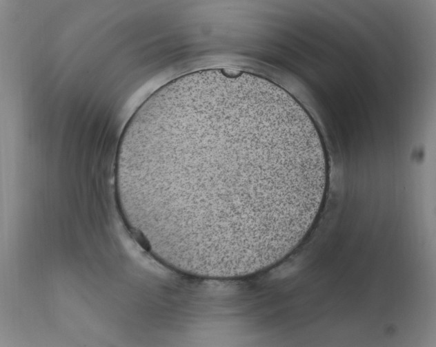 X0000112160954200909041123
