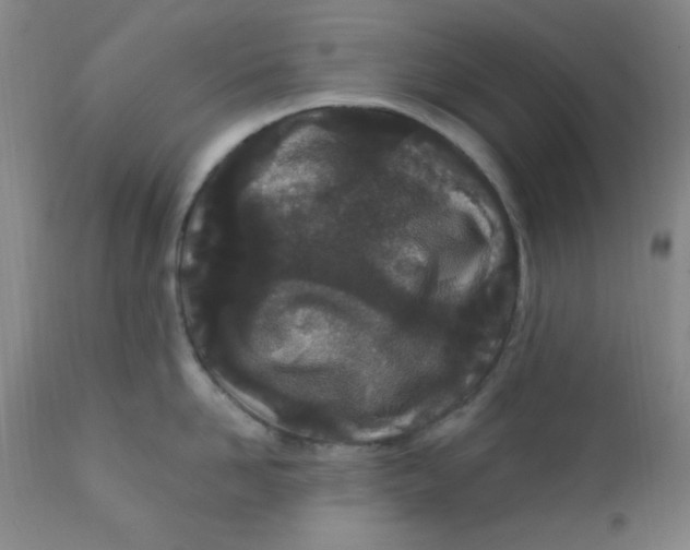 X0000112160958200909041123