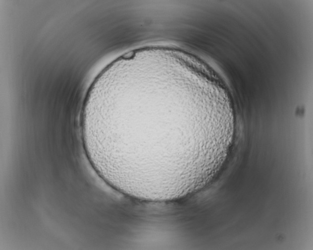 X0000112160959200909041123