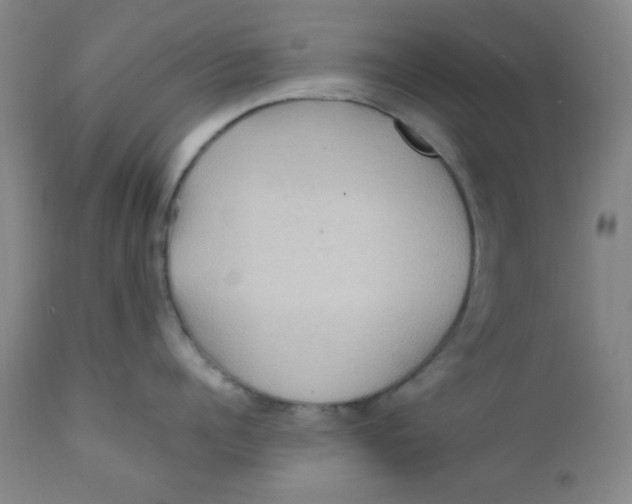 X0000112160960200909041123