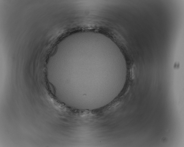 X0000112160961200909041122