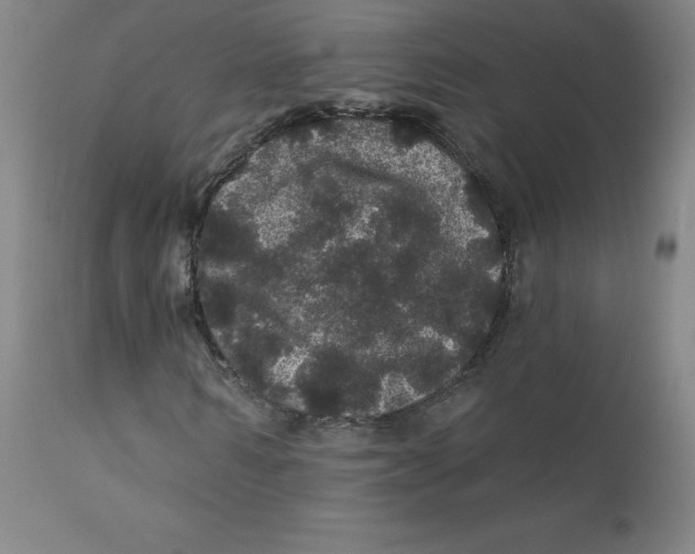 X0000112160962200909041122