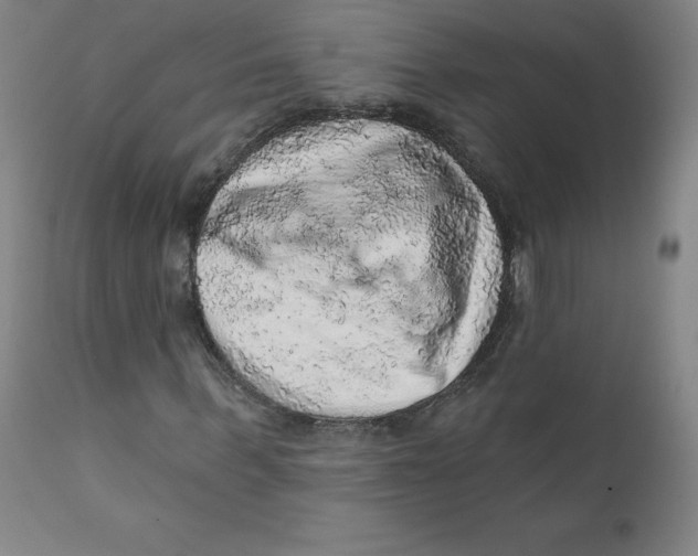 X0000112160963200909041122