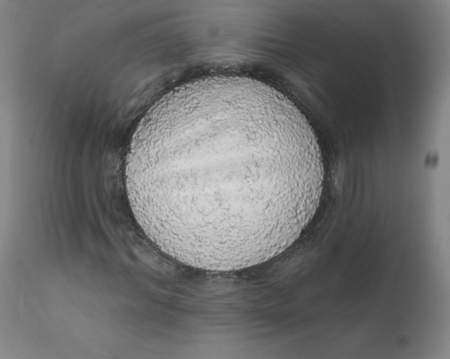 X0000112160964200909041122