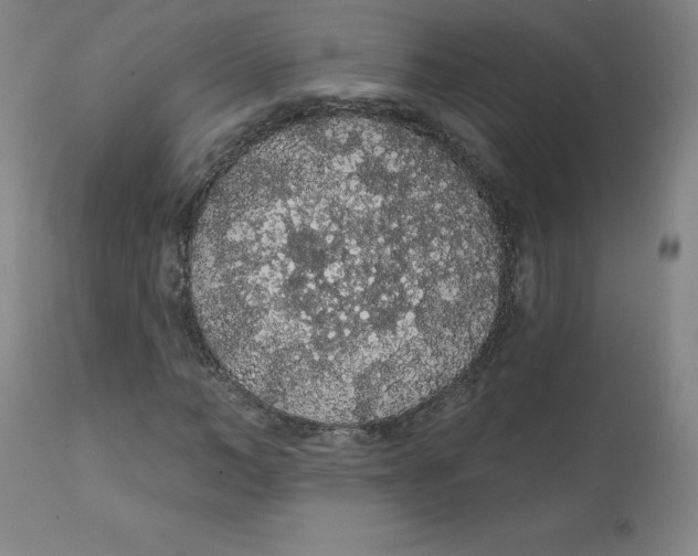 X0000112160966200909041122