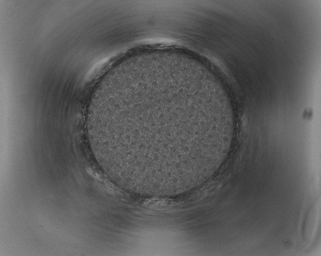 X0000112160967200909041122