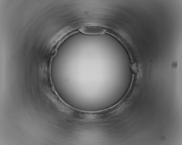 X0000112160969200909041122
