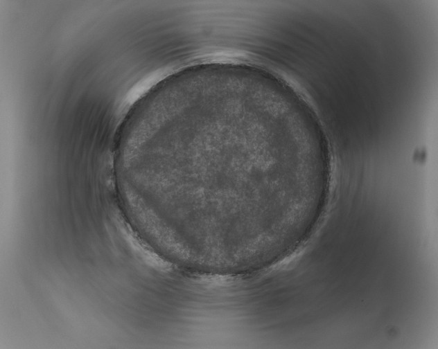 X0000112160970200909041122