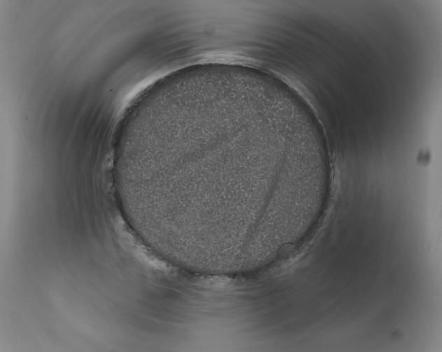 X0000112160971200909041122