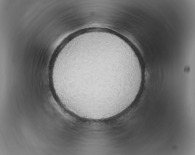 X0000112160972200909041122