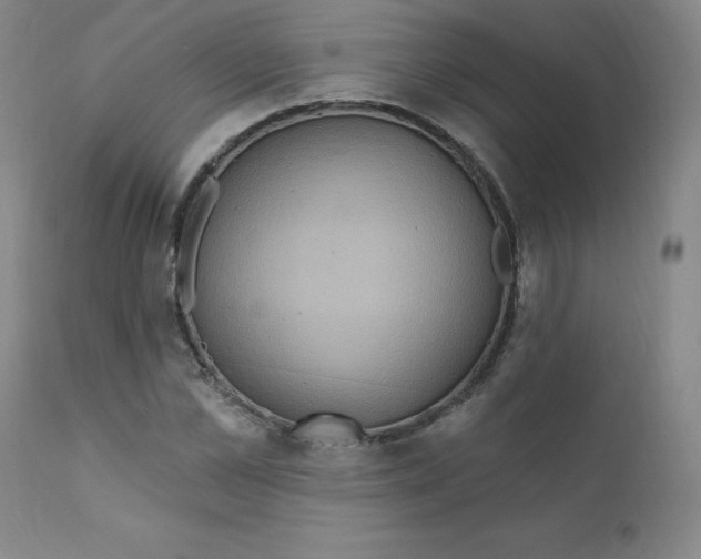 X0000112160973200909041122