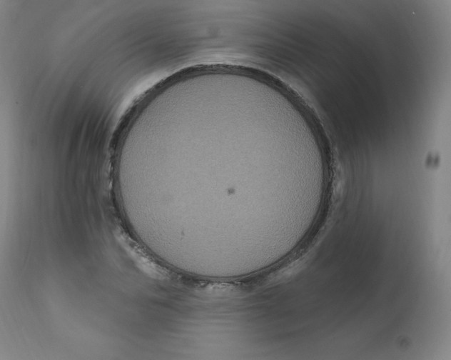 X0000112160974200909041122