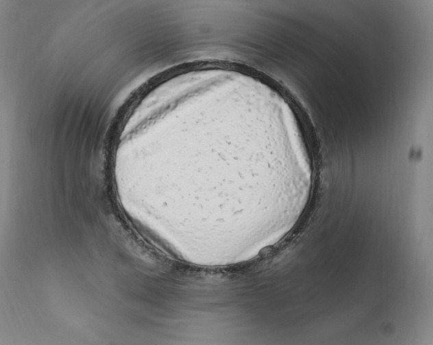 X0000112160975200909041122