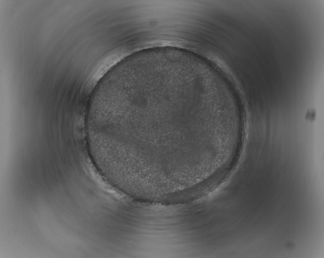 X0000112160977200909041122