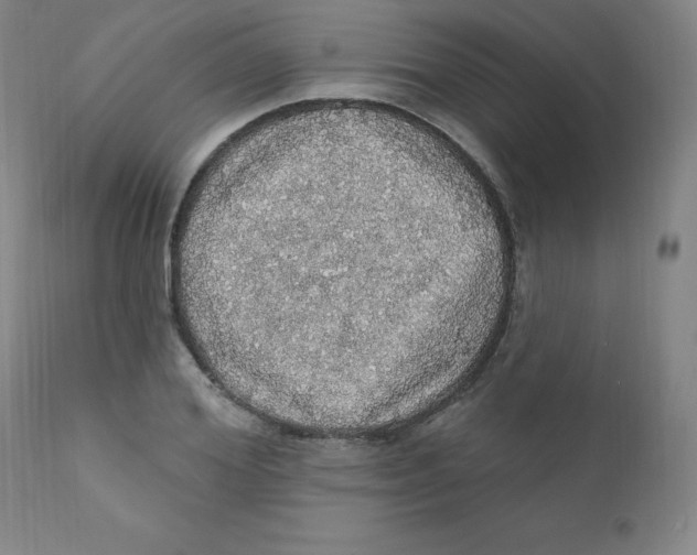 X0000112160980200909041122